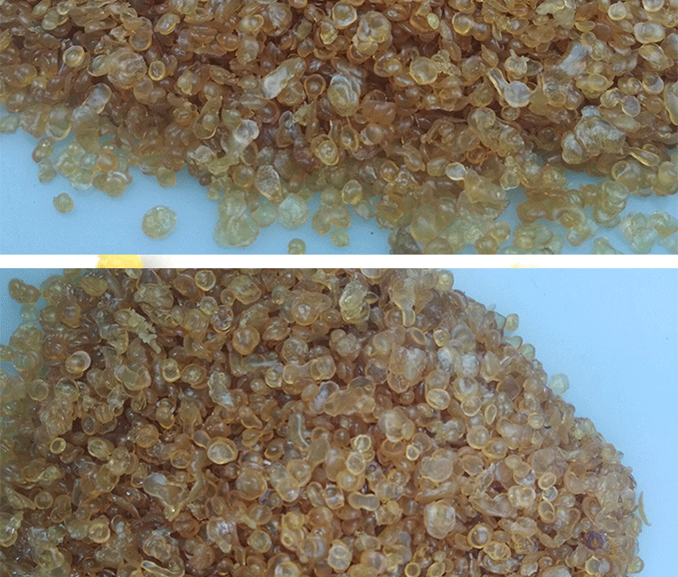 工业牛骨胶 粘布轮胶 绘画书画胶木工胶 牛皮动物胶工业明胶 1斤(500