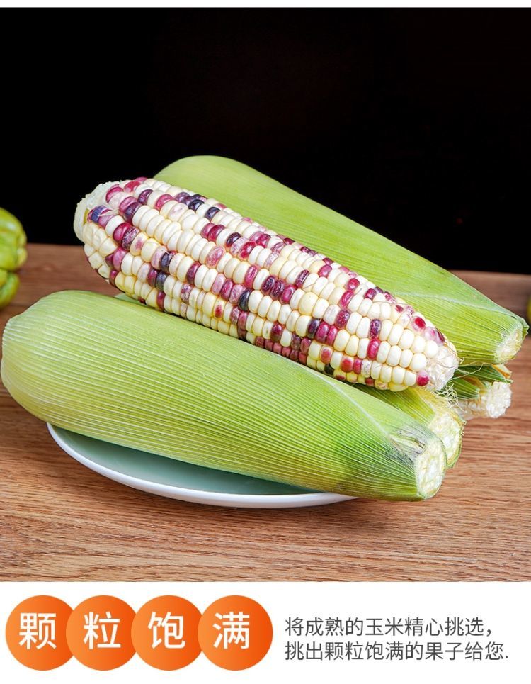 玉米整箱批发香津驿站 人选ii优先发货 五斤花玉米ii净重 带叶【图片