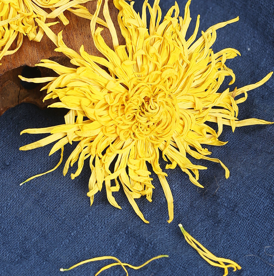 菊花茶菊花金丝皇菊黄菊一朵一杯花茶胎菊女茶叶金丝皇菊蒲公英