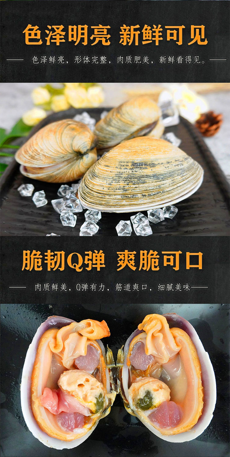 天鹅蛋贝50个粉丝天鹅蛋去内脏去沙大蛤蜊贝类新鲜烧烤冻品去壳去内脏