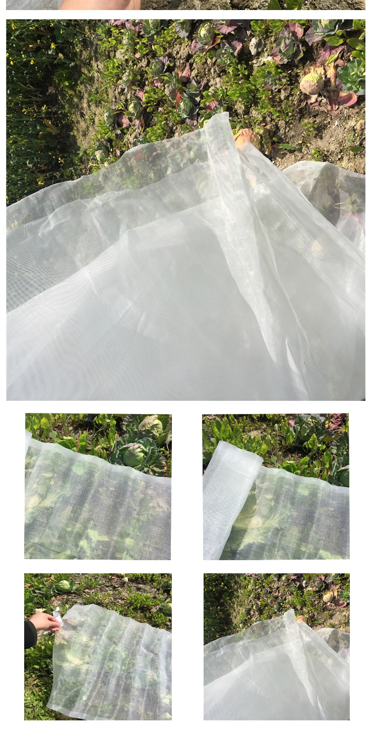 尼龙纱窗布防尘防蚊防虫家用加密纱网结实防虫网加厚尼龙网布 40目