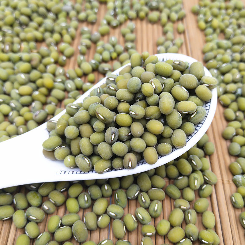 毛绿豆250克/5斤 农家自种新鲜大毛绿豆老品种笨绿豆非豆 毛绿豆3斤