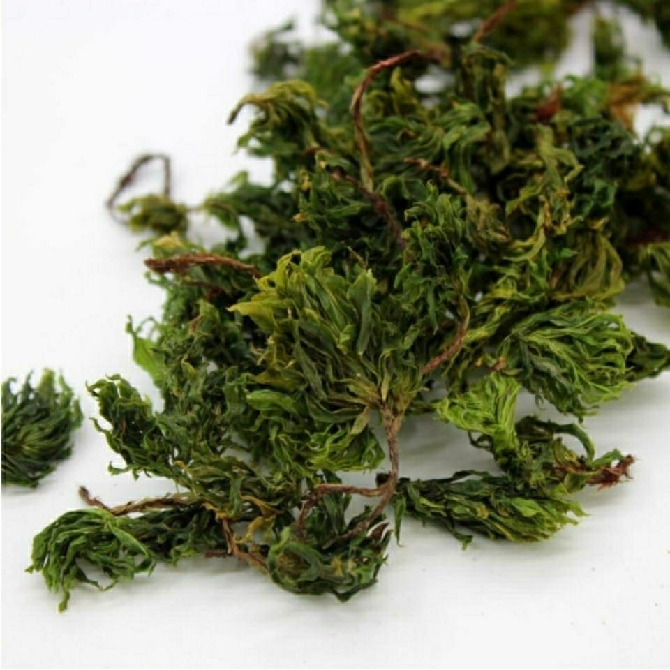 新货云南野生回心草中药材回心草 500g【图片 价格 品牌 报价】-京东