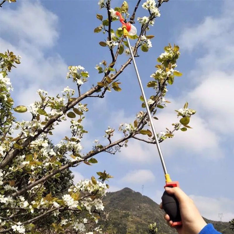 授粉枪新款果树花粉授粉器桃树梨树猕猴桃西红柿番茄杆式点花授粉器
