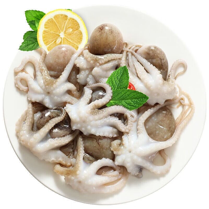 新鲜海捕短腿八爪鱼鲜活速冻迷你八爪鱼翻花小章鱼去牙去脏八爪鱼去牙