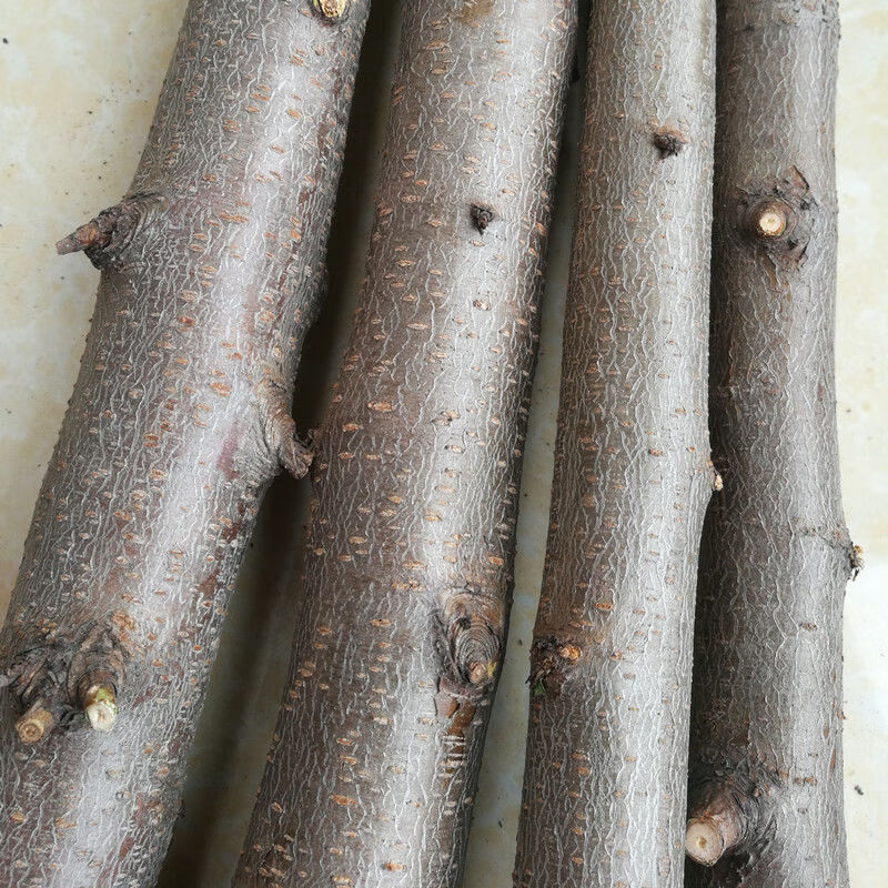 干桃木段桃木簪子木料桃木枝原木桃木棍天然木东南枝桃树枝纯正c54