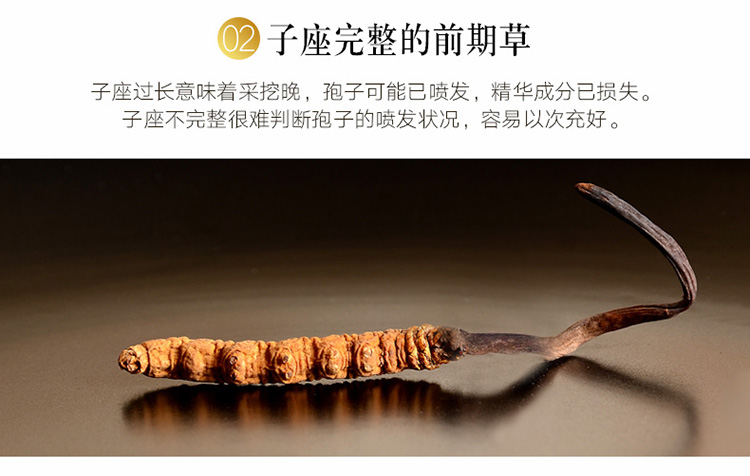 ab73936d2e1e210b.png