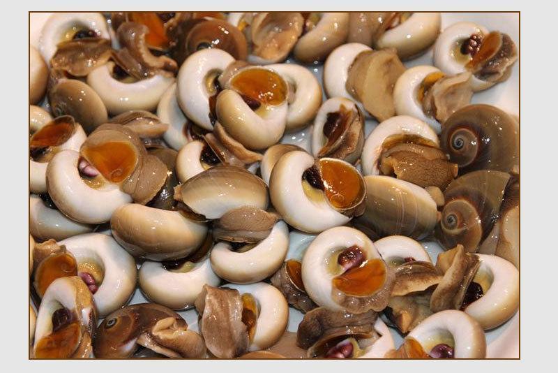 坏了包赔鲜活无沙猫眼螺白玉螺香螺肚脐螺翡翠螺贝类螺类鲜活猫眼罗二