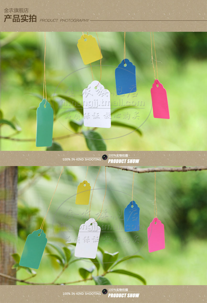 100张pvc彩色塑料植物吊签牌花卉园艺盆栽小挂牌苗木吊牌多肉标签 6x4