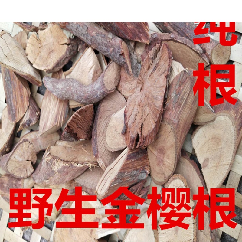 伟博 野生金樱根 野生金樱子根 金樱蔃 脱骨丹 金英根500g