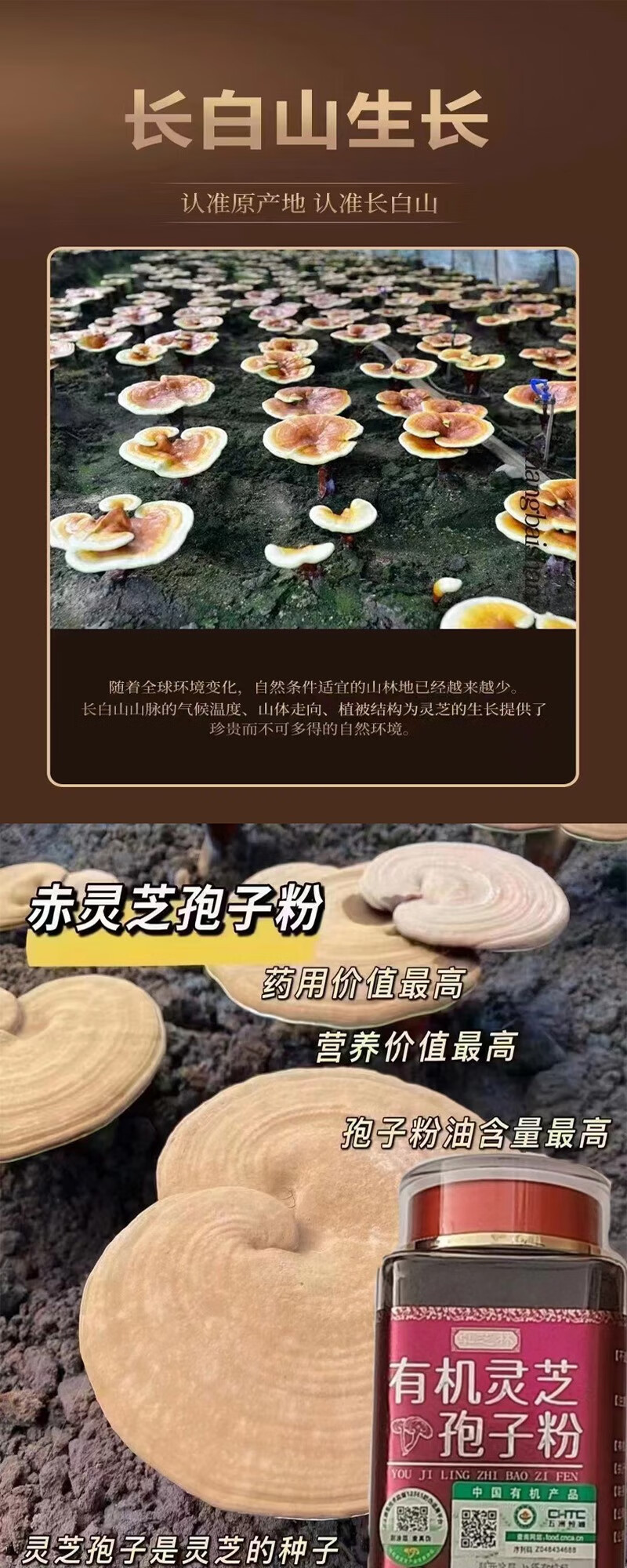 22ef87f62eb90b19.jpg