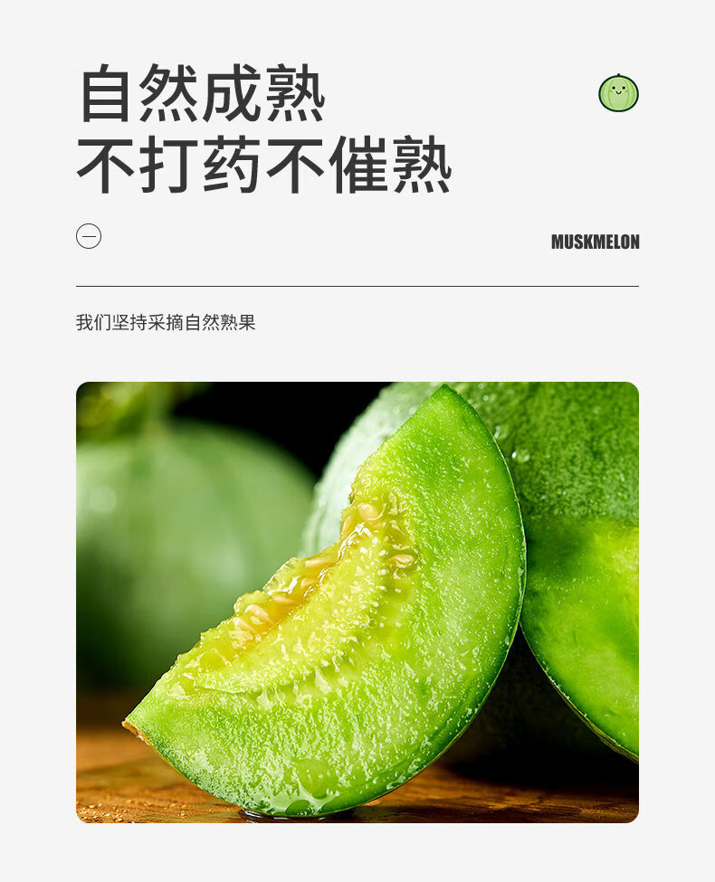 柘城助农馆绿宝石甜瓜香瓜脆瓜现摘甜青皮小瓜蜜瓜净重5斤果单果200g