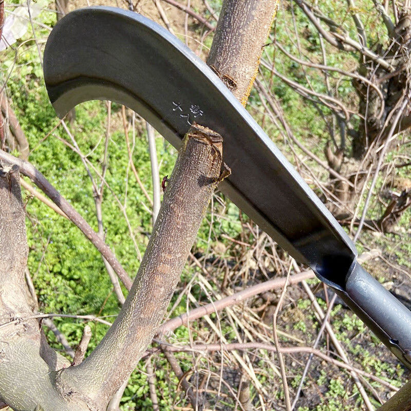 柴刀砍树柴刀锰钢斧头树镰刀锋利无比修枝甘蔗神器户外长刀直刀奔新农