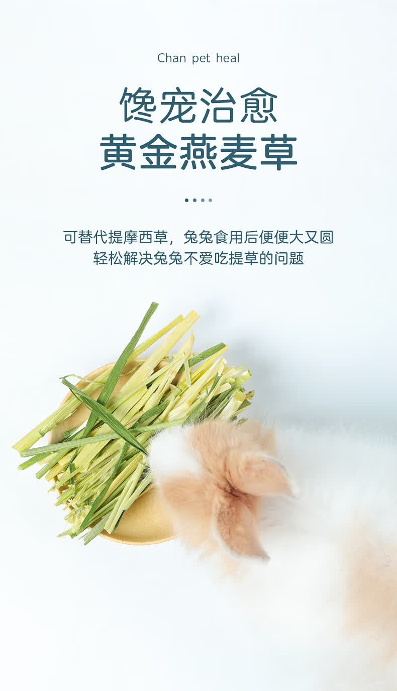干草饲料烘干新鲜牧草兔子龙猫粮草荷兰猪食物兔兔用品黄金燕麦草500g