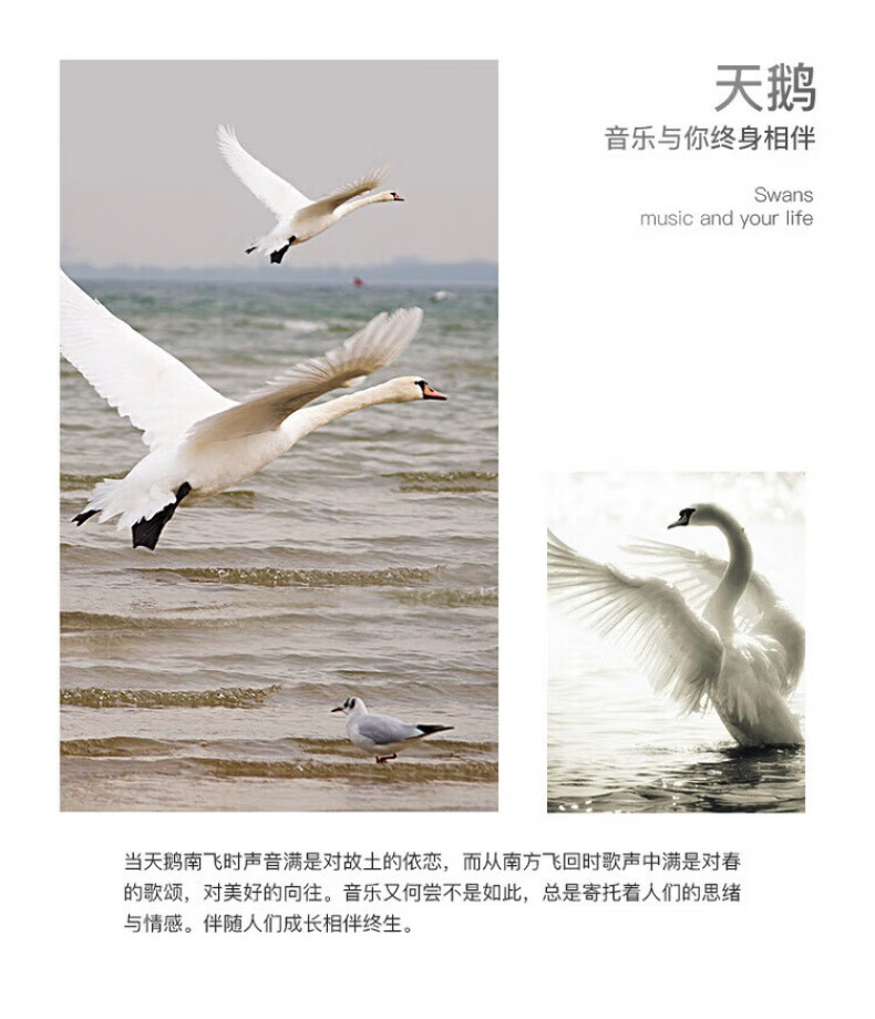 4ab4719a8eba8c2f.jpg