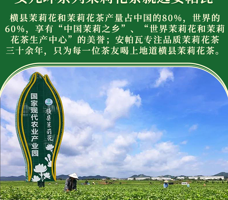 茉莉花茶2021新茶浓香型女儿环广西横县特种级别雪环罐装250g