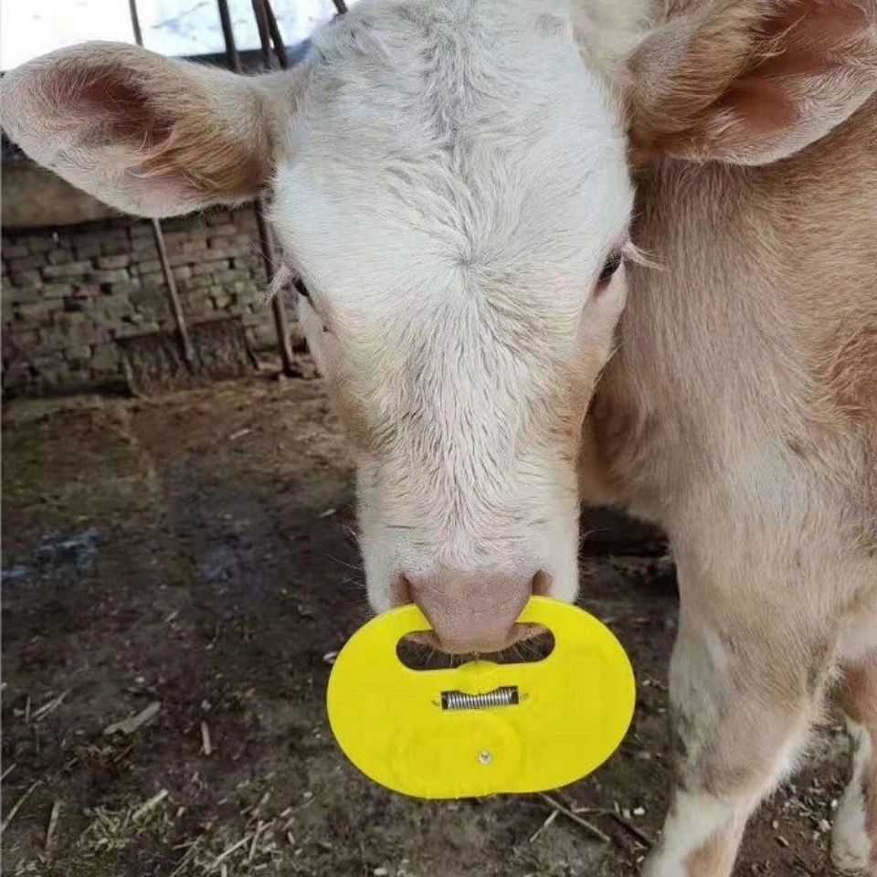 牛鼻刺小牛断奶鼻刺犊牛断奶器牛鼻圈牛鼻环加厚塑料牛用兽用器械红色