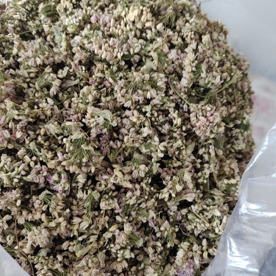 2021山西右玉干摘麻花 贼麻花扎蒙花扎麻麻花野韭菜花炝锅调料 50克