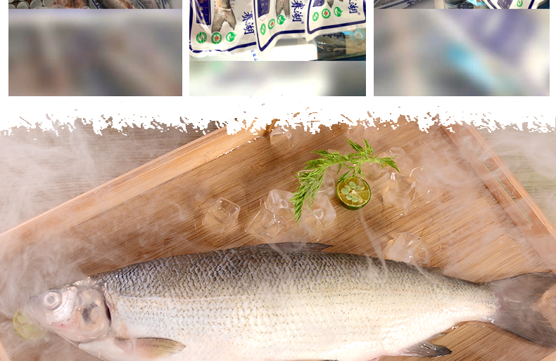 新疆赛里木湖高白鲑鱼新鲜冷水鱼高白鲑鱼肉 (500g-600g/条)1 g/条)1