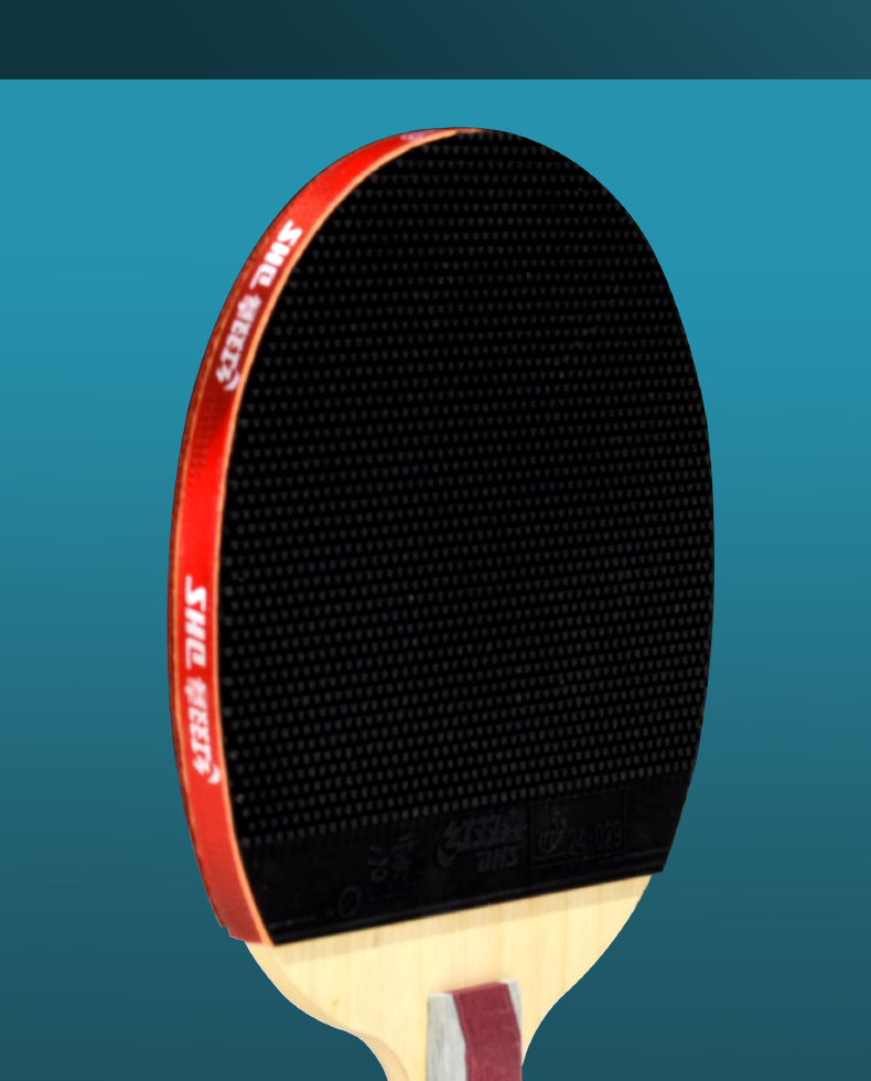 dhs红双喜乒乓球拍6星进攻型削球狂飙长反胶横拍直拍成品单拍 t6007长