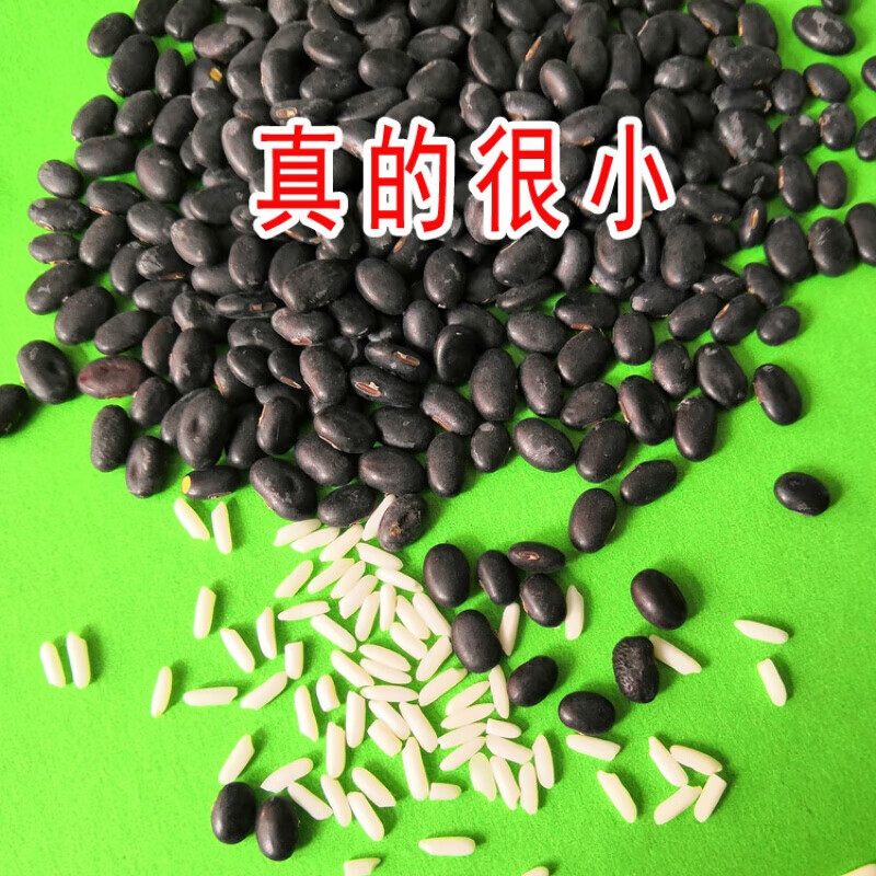 5斤黃心小黑豆發芽專用苗芽菜種子古老腎型小粒豆芽發芽五穀雜糧