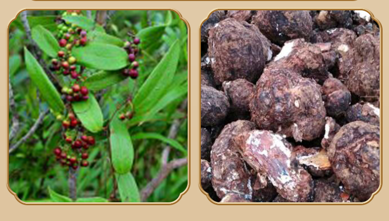 云南 白茯苓200g中药材白芍白茯苓粉芡实土伏苓块 3罐