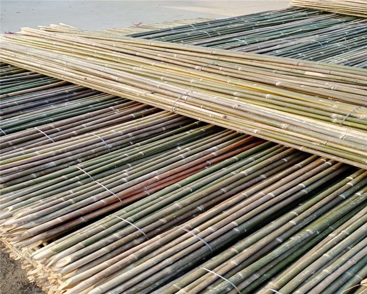 14公分粗竹竿跳舞菜园搭架竹竿彩旗竹杆子楠竹粗竹长粗毛竹青竹竿 3-4