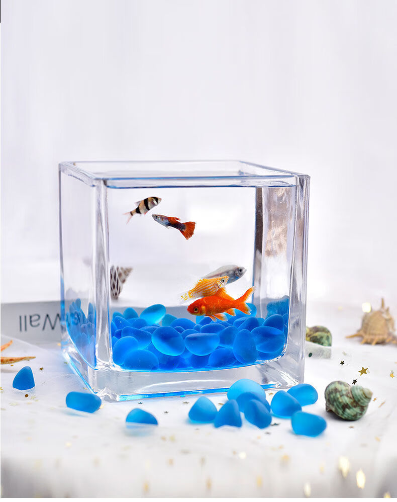 短云玻璃鱼缸方形超白小鱼缸造景创意水族箱金鱼缸家用办公桌斗鱼缸