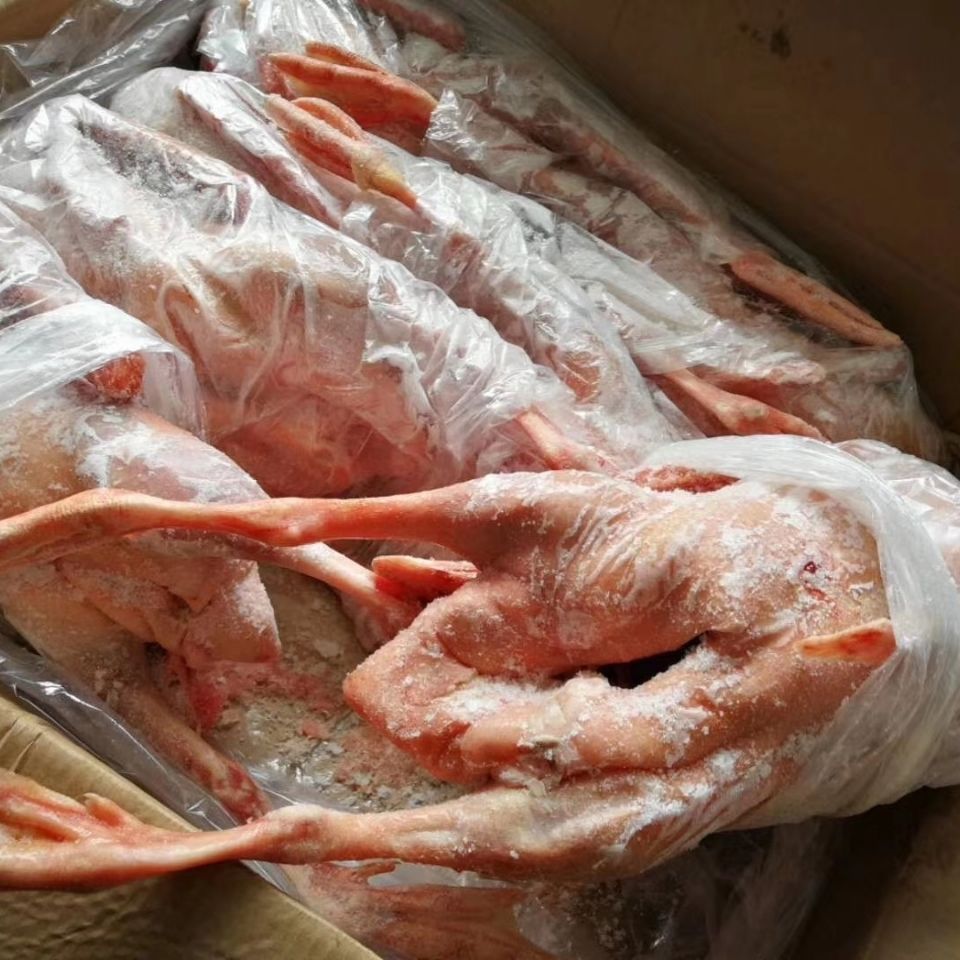 新鲜冷冻白条鹅整鹅全鹅光鹅大白鹅整箱40斤饭店卤菜食材整箱40斤6只