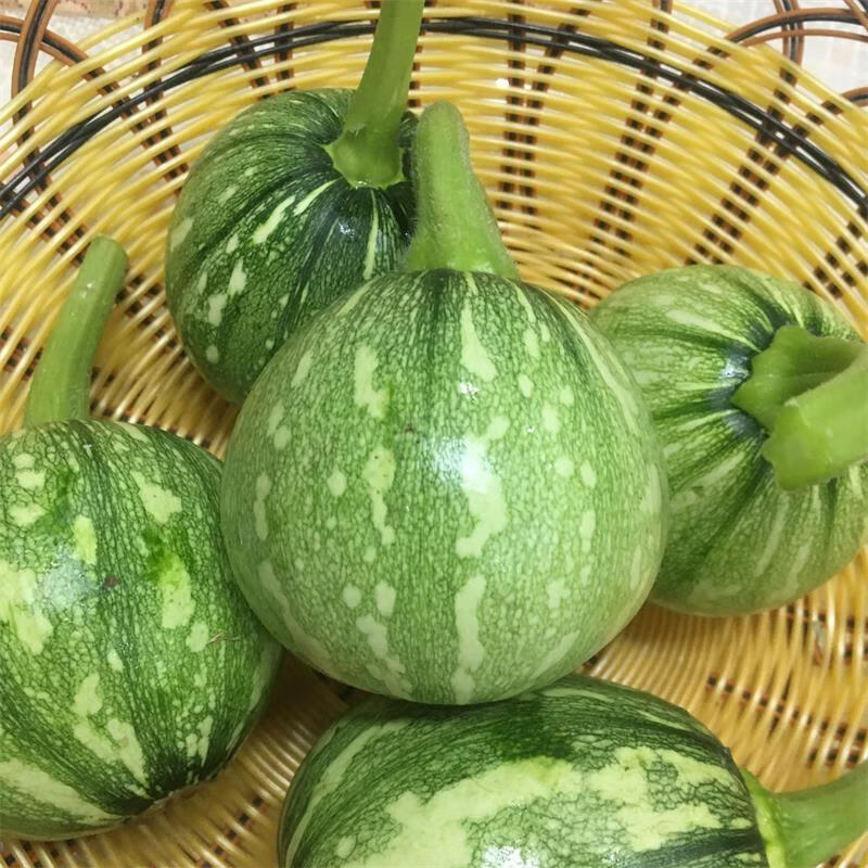 【优选好物】四川嫩南瓜新鲜蔬菜农家菜宜宾嫩圆南瓜青皮南瓜新鲜青小