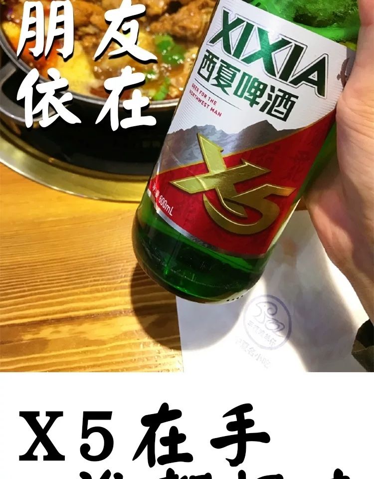 5折 西夏x5 600ml*6/12瓶 宁夏西夏啤酒x5大红瓶口服液x5嘉士伯旗下