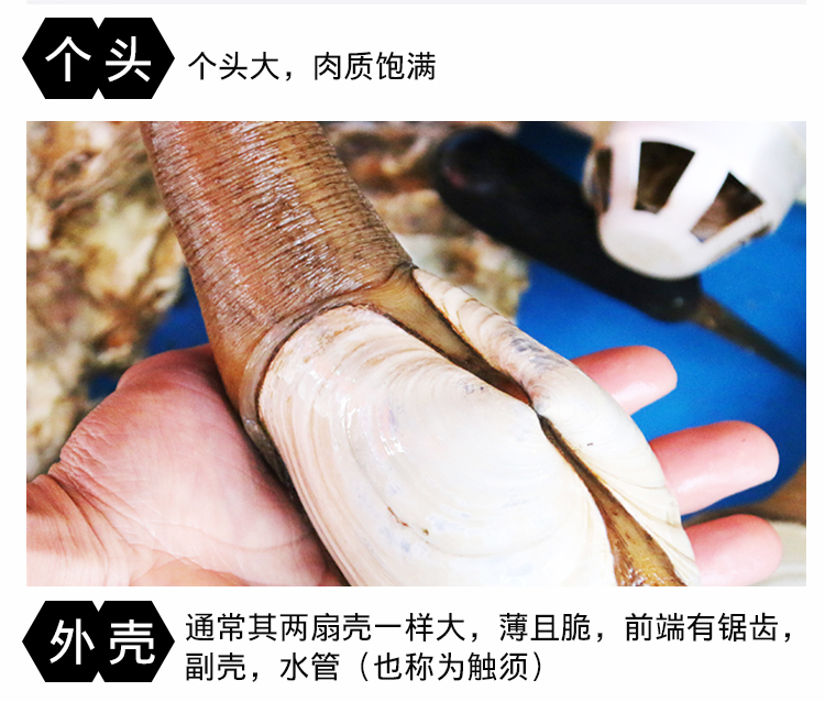 ab3aed002f8e0879.jpg