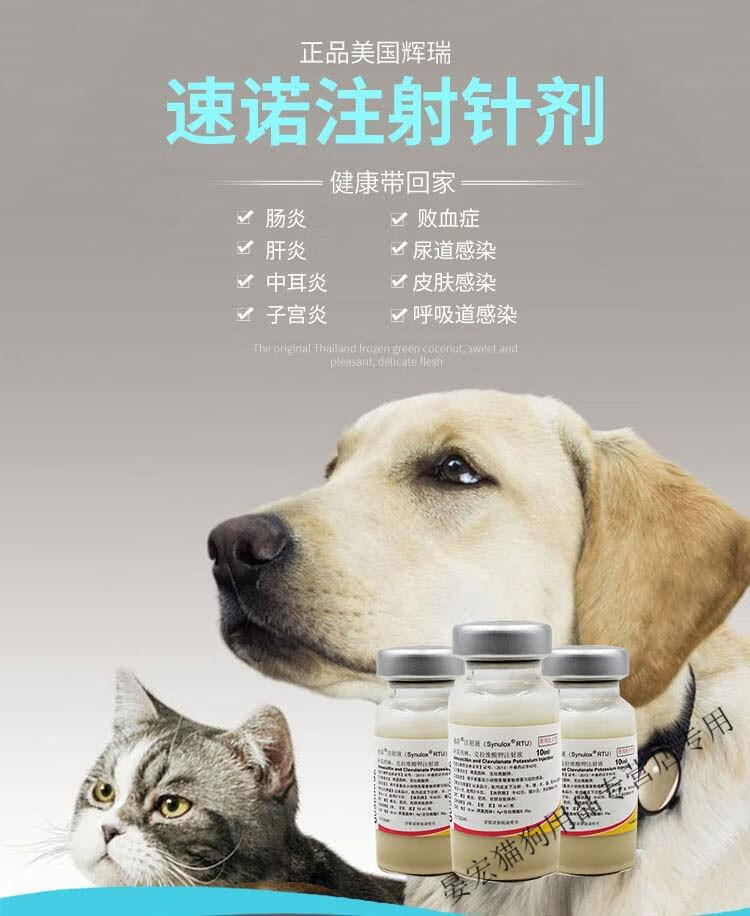 美国辉瑞速诺针剂l药猫阿莫西林克拉维酸钾注射液5ml分装