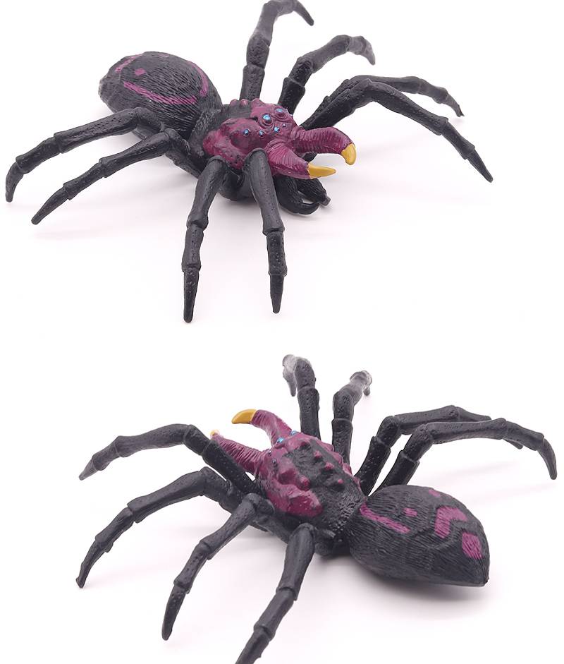 定制蜘蛛玩具可爱实心仿真蜘蛛模型昆虫玩具黑蜘蛛狼蛛大蜘蛛动物儿童