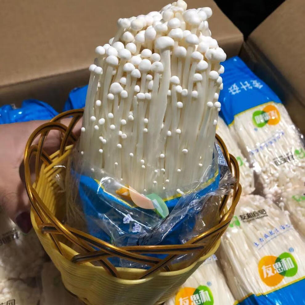 新鲜金针菇袋装蘑菇菌菇无根金针菇火锅涮菜生鲜蔬菜食用菌 两袋(无根