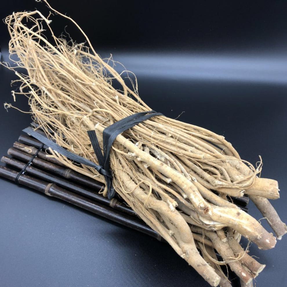 野生虎尾轮梅州客家石参根黄瓜参猫尾射炖鸡炖大骨煲汤中药材新货