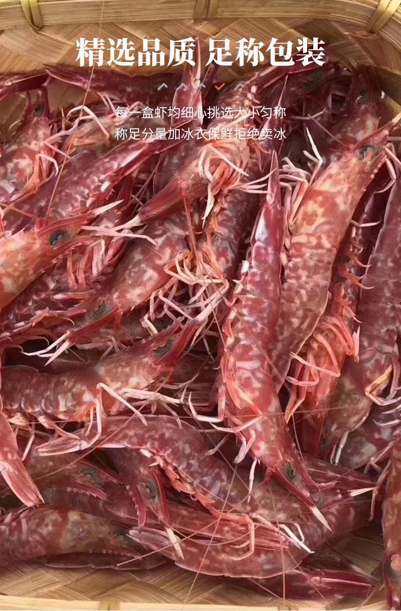 樱花虾厚壳虾海虾900g火焰虾玫瑰虾东山海捕红虾樱花虾鲜活 刺身白灼