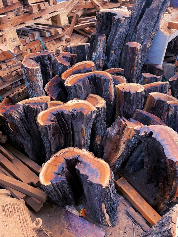 微韵真正雷击枣树原木活树伐开料雷劈枣木自然雷痕道教实用原木段a15