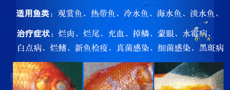 亚甲基蓝精粉观赏鱼锦鲤鱼缸甲基蓝水族鱼专用 鱼药万能疾病治疗 高效
