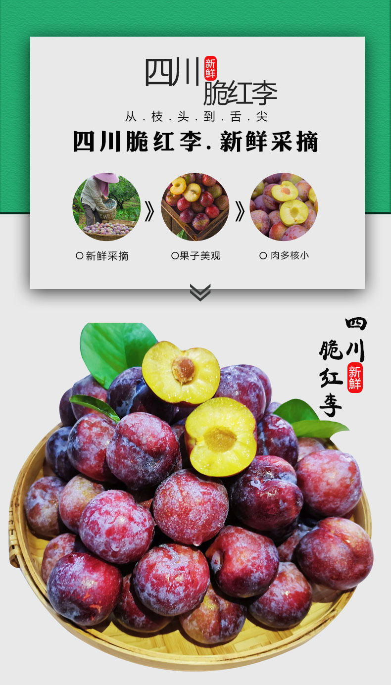 (现摘现发)四川汶川脆红李 青红脆李 新鲜当季现摘脆甜脱骨李 李子