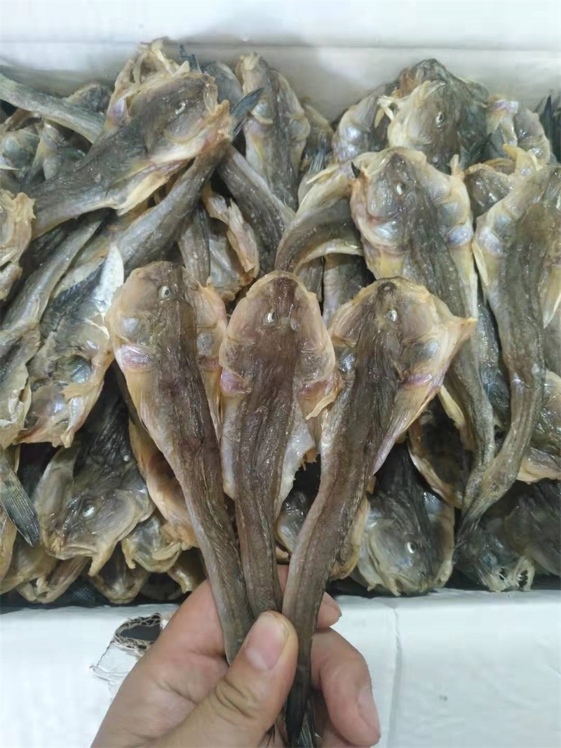 興城海乾海貨扔巴魚鹹魚幹胖頭魚小鹹魚楞吧魚乾扔吧魚500g5袋