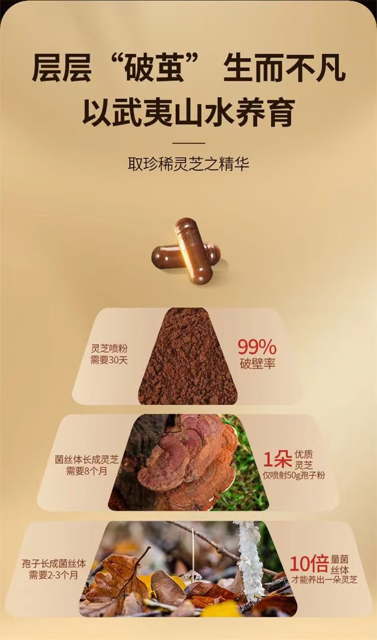 8ab40f8f8d28c650.jpg