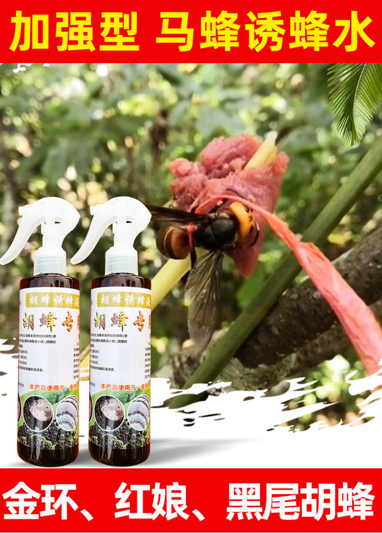 胡蜂诱蜂水马蜂诱蜂水金环红娘黑尾诱蜂水蜂水马蜂野外马蜂水 250ml