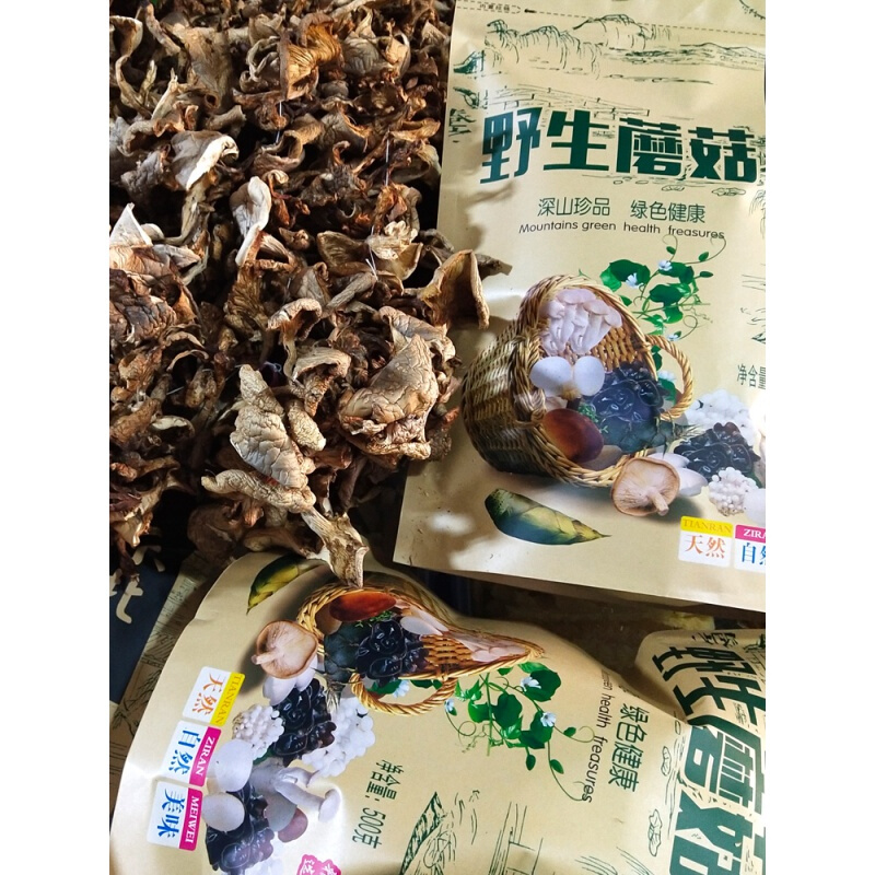 呼伦贝尔草原白蘑菇呼伦贝尔大草原新品干货白蘑采摘蘑菇