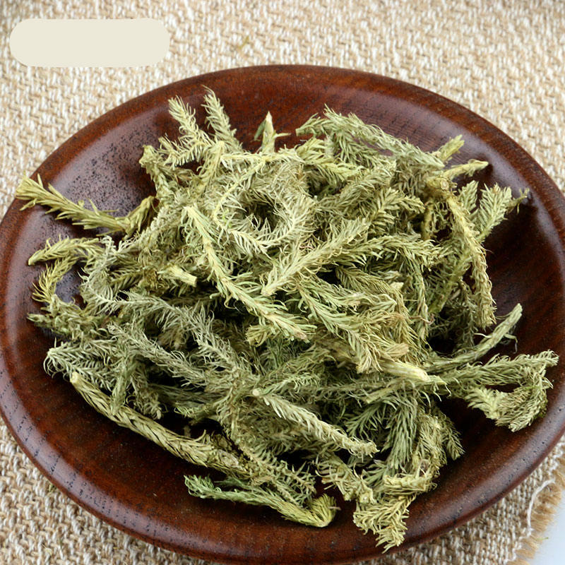 伟博伸筋草500克g中药材河北石松狮子草狮子尾大伸筋草伸筋草500克