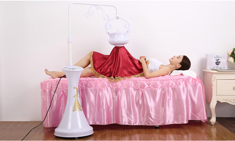 养益康艾灸家用仪器加艾绒熏蒸随身灸温灸养生美容院专用全身艾炙七色