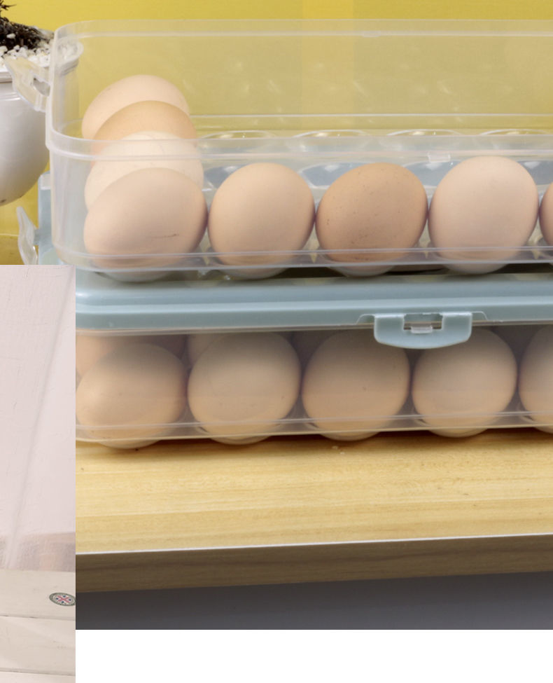 装蛋盒冰箱鸡蛋收纳盒蛋托食品保鲜盒收纳盒带盖放鸡蛋盒冰箱盒透明色
