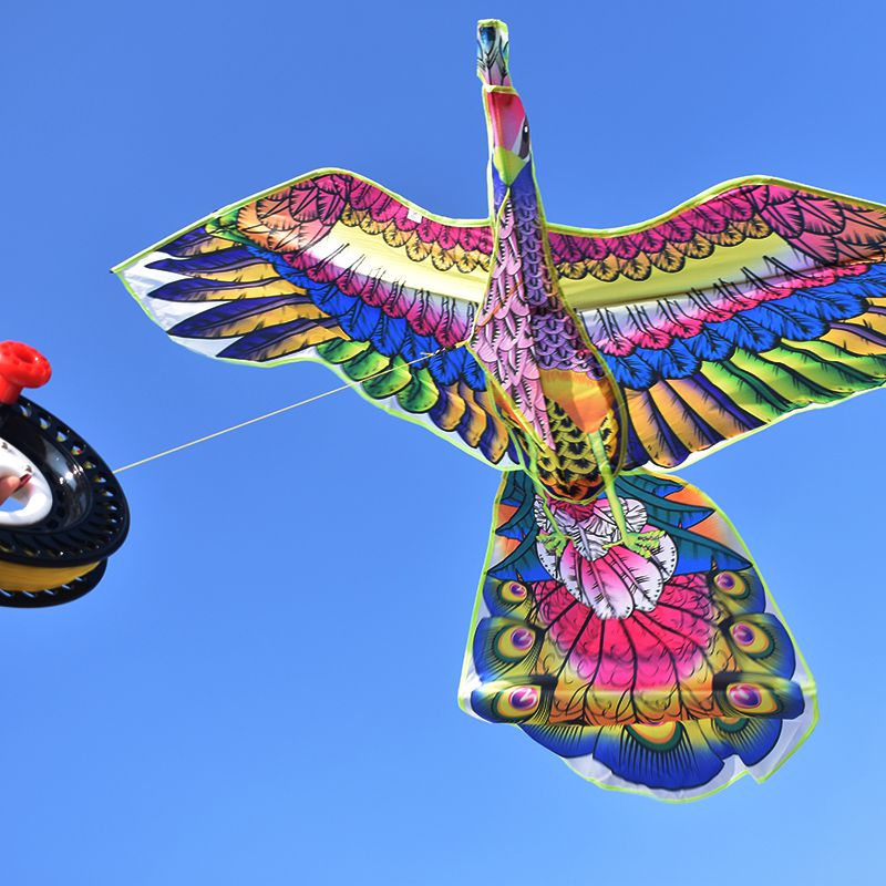 蕾迪熊leidixiong新款潍坊孔雀风筝成人风筝孔雀开屏长尾七彩大型微风