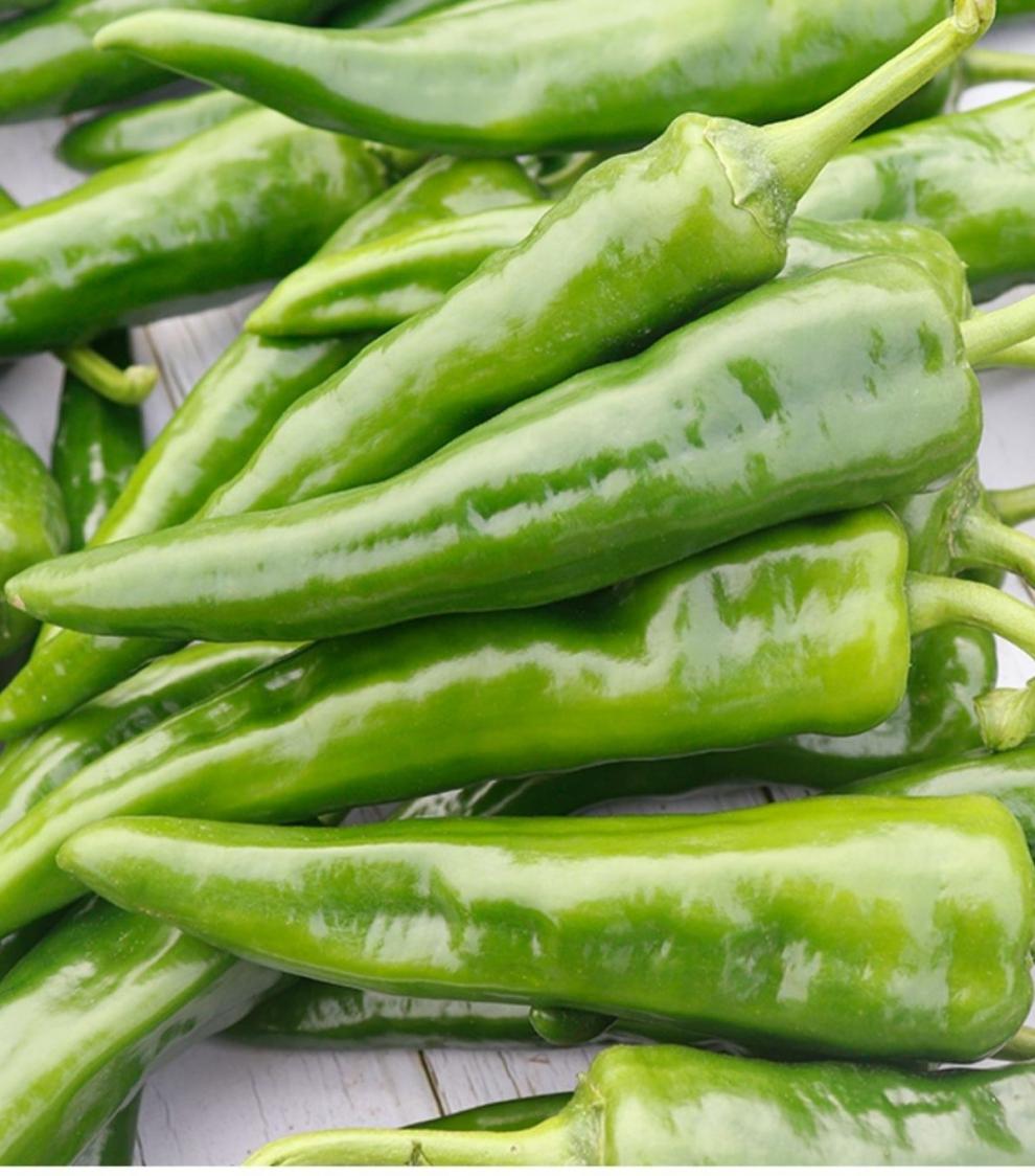 新鲜辣妹子小辣椒正宗辣产地直发蘸酱农家蔬菜辣妹子净重一斤试吃装