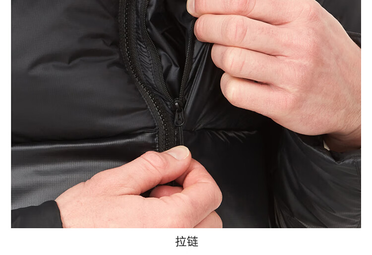 77409c9fe6885ea3.jpg